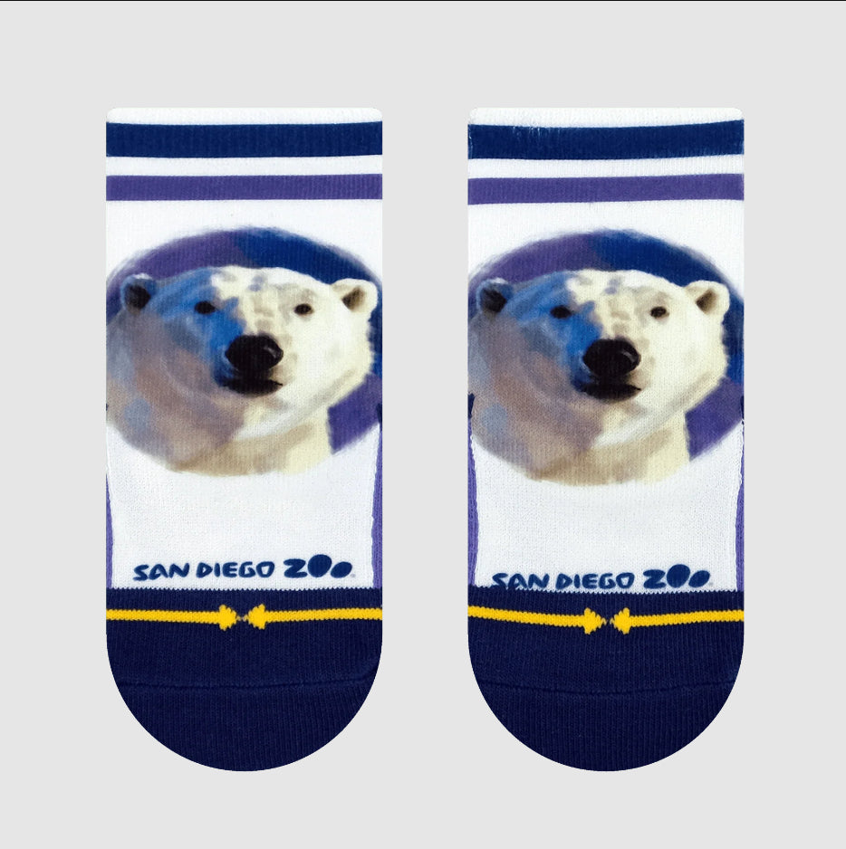 Merge4 x San Diego Zoo - Bears 3 Pack Baby Socks4.jpg