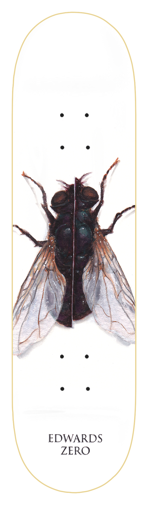 Zero Skateboard Deck Insection Forest Edwards.png