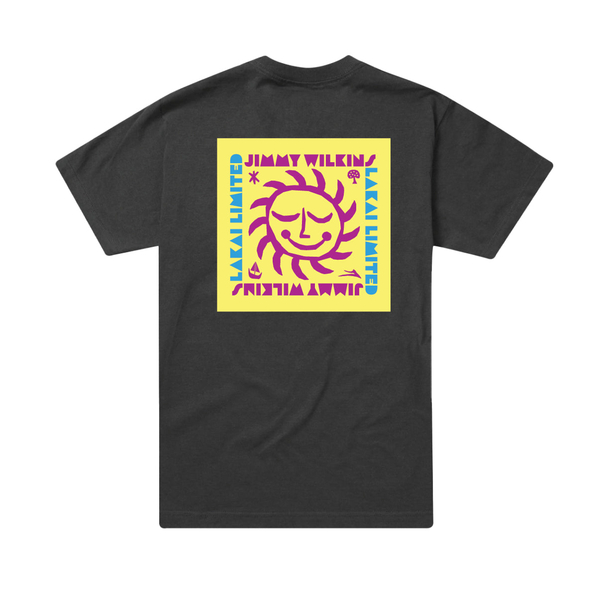 Lakai Sunny Tee Washed Black LT224 BACK.jpg