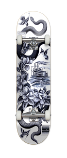 Chocolate Complete Skateboard Bayou Jordan Trahan.png