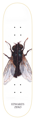 Zero Skateboard Deck Insection Forest Edwards.png